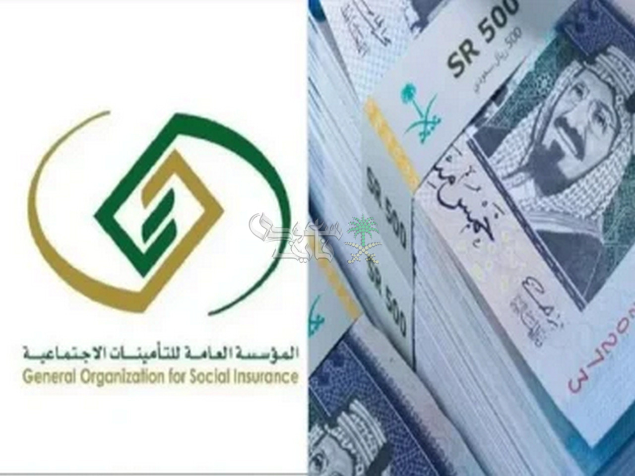 طريقة الاستعلام عن معاش التقاعد في السعودية 2025.. خطوة بخطوة