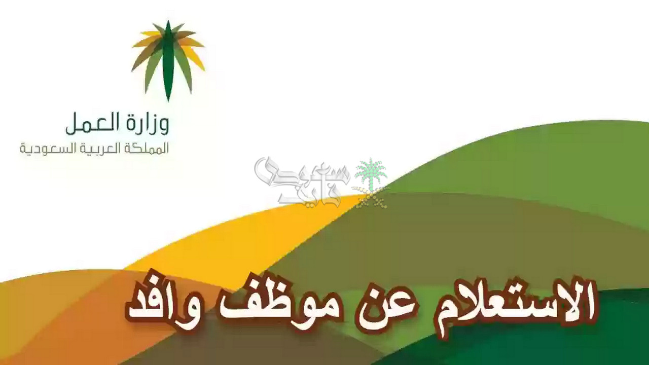 كيفية الاستعلام عن موظف وافد في السعودية برقم الاقامة مايو 2025