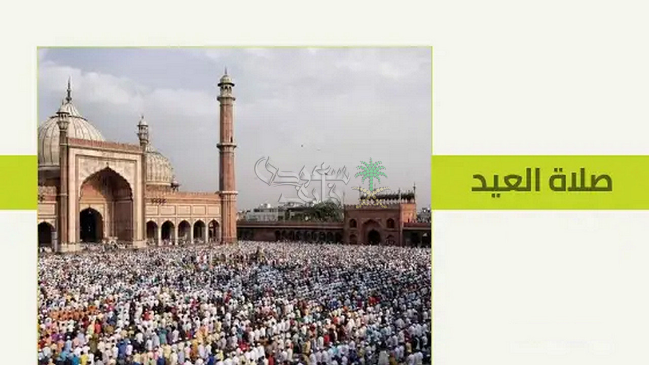 موعد صلاة عيد الأضحى 2025 في مصر.. تعرف على توقيت الصلاة في المحافظات