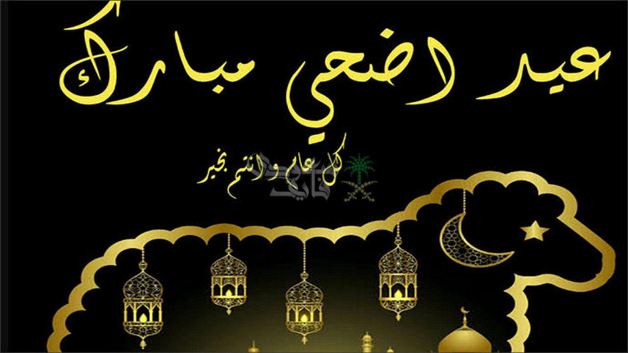 رسائل تهنئة عيد الأضحى 2025.. عيد على حبايبك وقرايبك