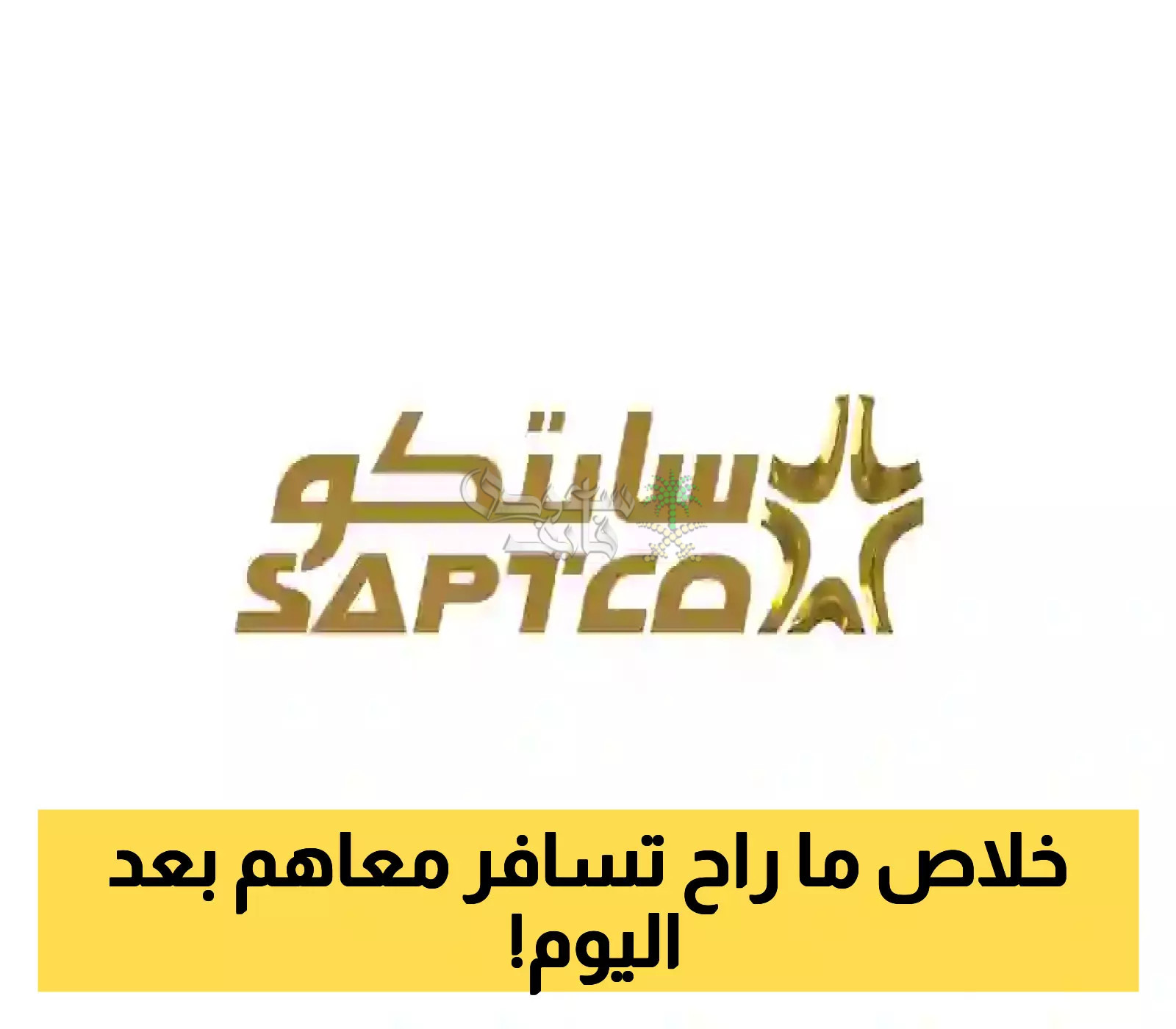 سابتكو تعلن إيقاف الرحلات نهائيًا إلى هذه المدن السعودية خلال العام الجاري