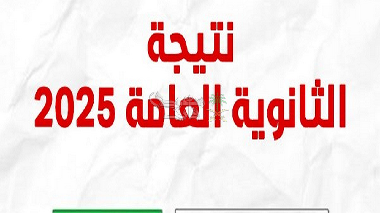 رابط نتيجة الثانوية العامة 2025.. الناجح يرفع ايده
