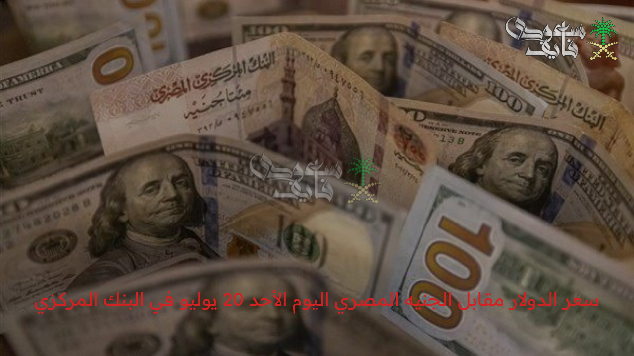 مفاجآت في البنوك المصرية.. سعر الدولار مقابل الجنيه المصري اليوم الأحد 20 يوليو في البنك المركزي
