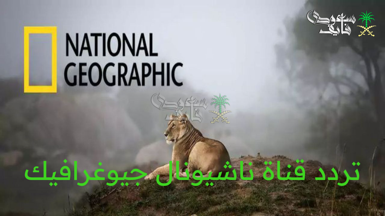 استمتع بعالم الحيوان.. تردد قناة ناشيونال جيوغرافيك نايل سات وعرب سات 2025 بأحدث جودة
