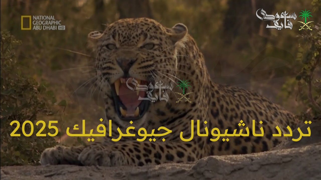 اضبطها الآن.. تردد ناشيونال جيوغرافيك 2025 على نايل سات وعرب سات بجودة عالية HD