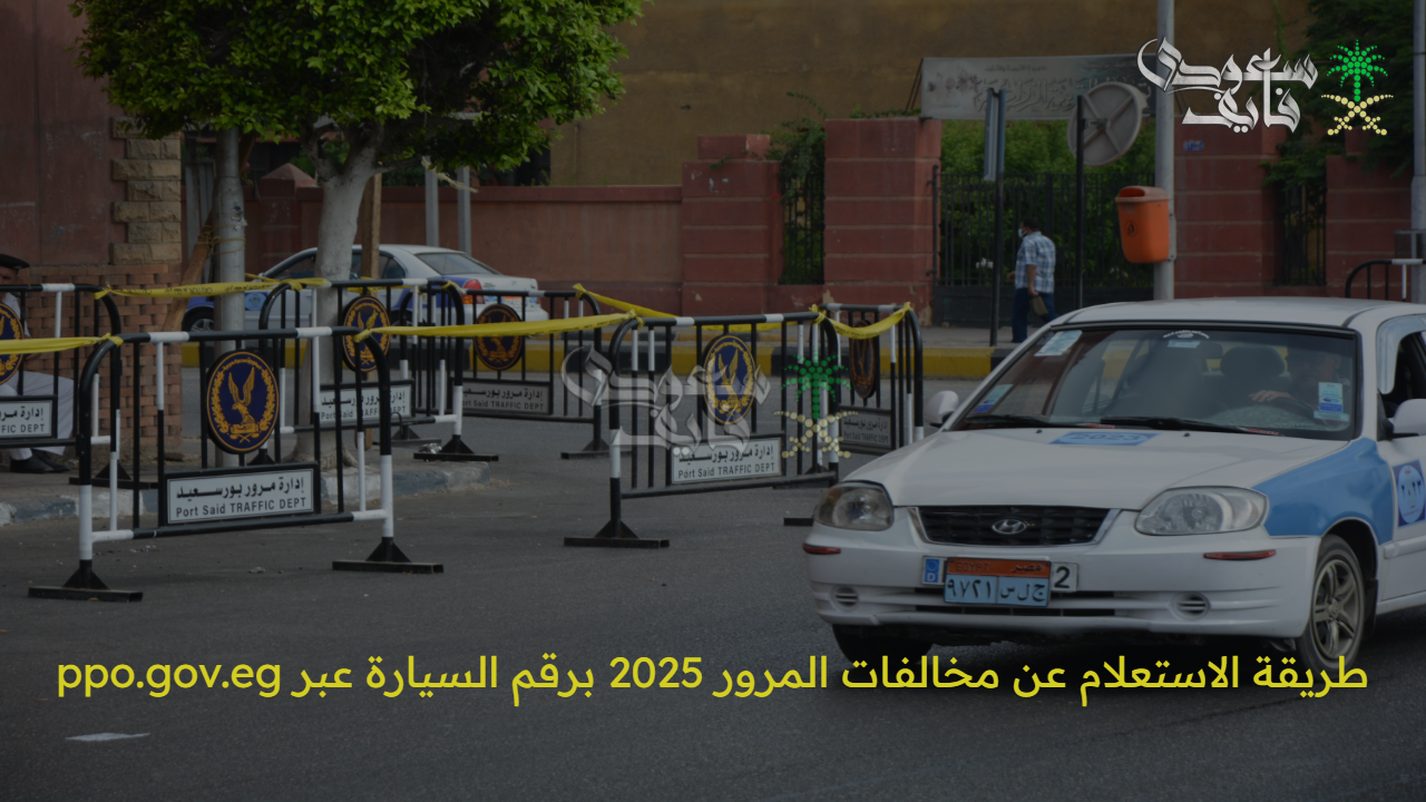 استعلم الآن.. طريقة الاستعلام عن مخالفات المرور 2025 برقم السيارة عبر ppo.gov.eg
