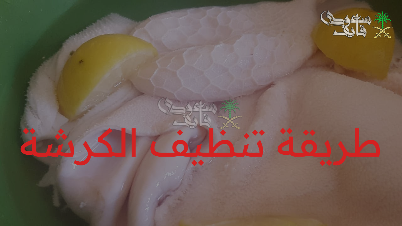 “فعالة ومجربة” طريقة تنظيف الكرشة في المنزل بكل سهولة والتخلص من رائحتها النفاذة