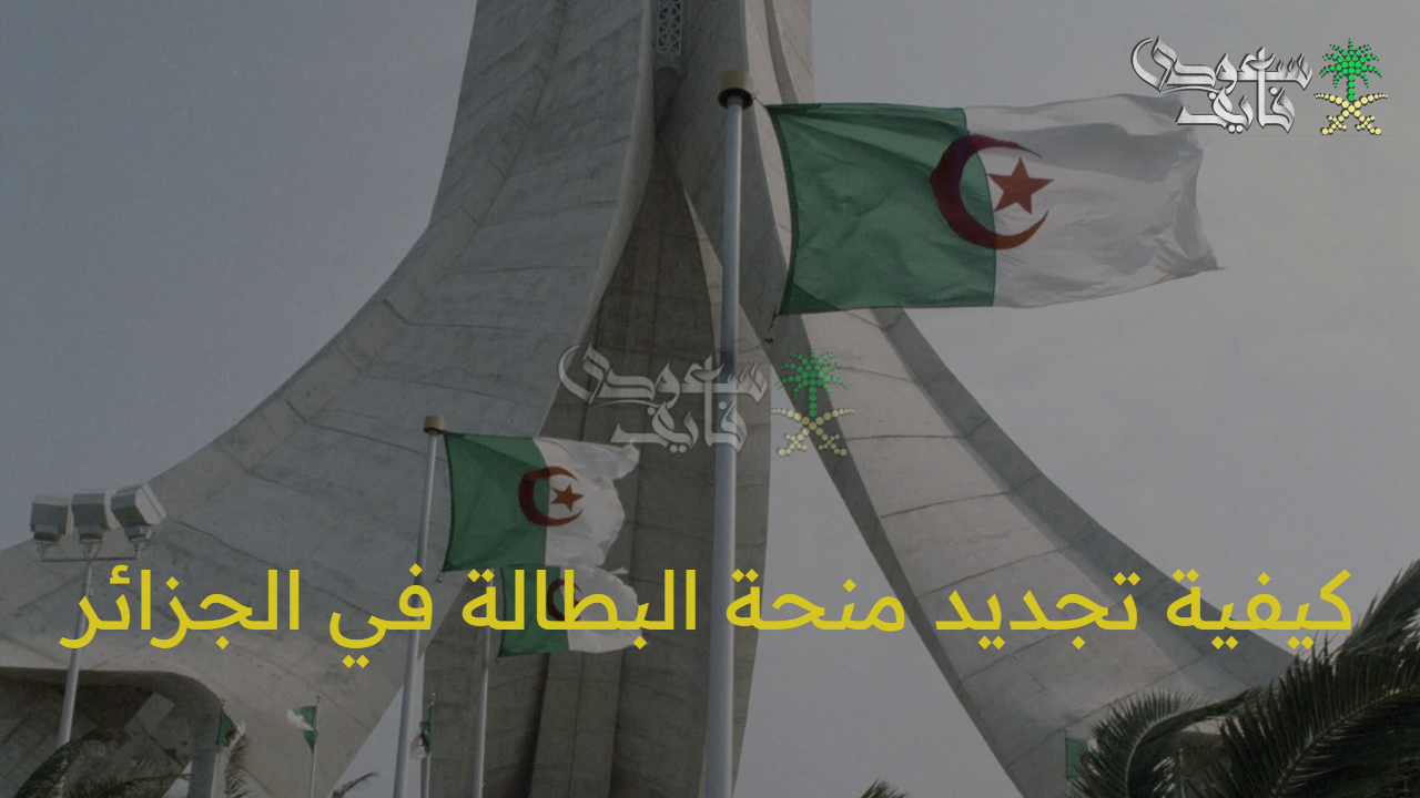 «بضغطة زر» كيفية تجديد منحة البطالة في الجزائر 2025 عبر رابط الوكالة الوطنية للتشغيل