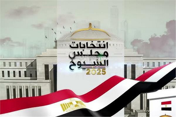 طريقة استعلام اللجان الانتخابية في انتخابات مجلس الشيوخ 2025