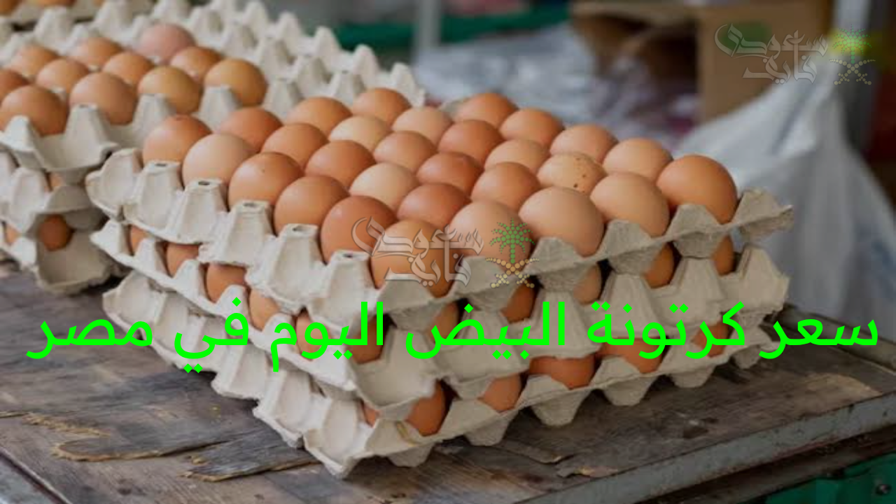 “بورصة الدواجن اليوم الإثنين”.. سعر كرتونة البيض اليوم في مصر بين الاستقرار وتقلبات السوق”