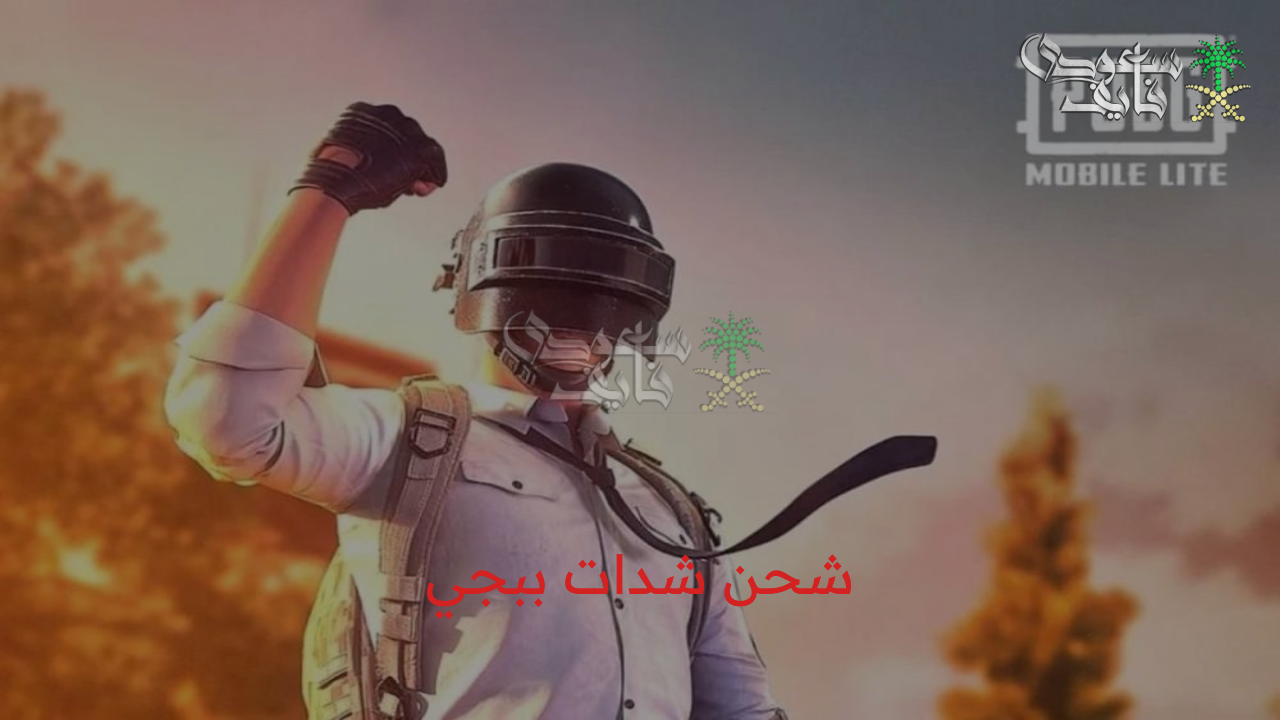 “عروض متتعوضش” طريقة شحن شدات ببجي من موقع Midasbuy بكل سهولة دون أي خطر