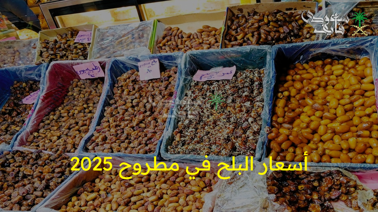 استقرار ملحوظ في أسعار البلح في مطروح 2025 اليوم الأحد 24 أغسطس 2025