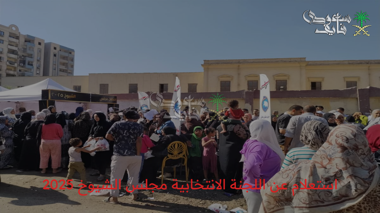 اعرف لجنتك حالا.. خطوات استعلام عن اللجنة الانتخابية مجلس الشيوخ 2025