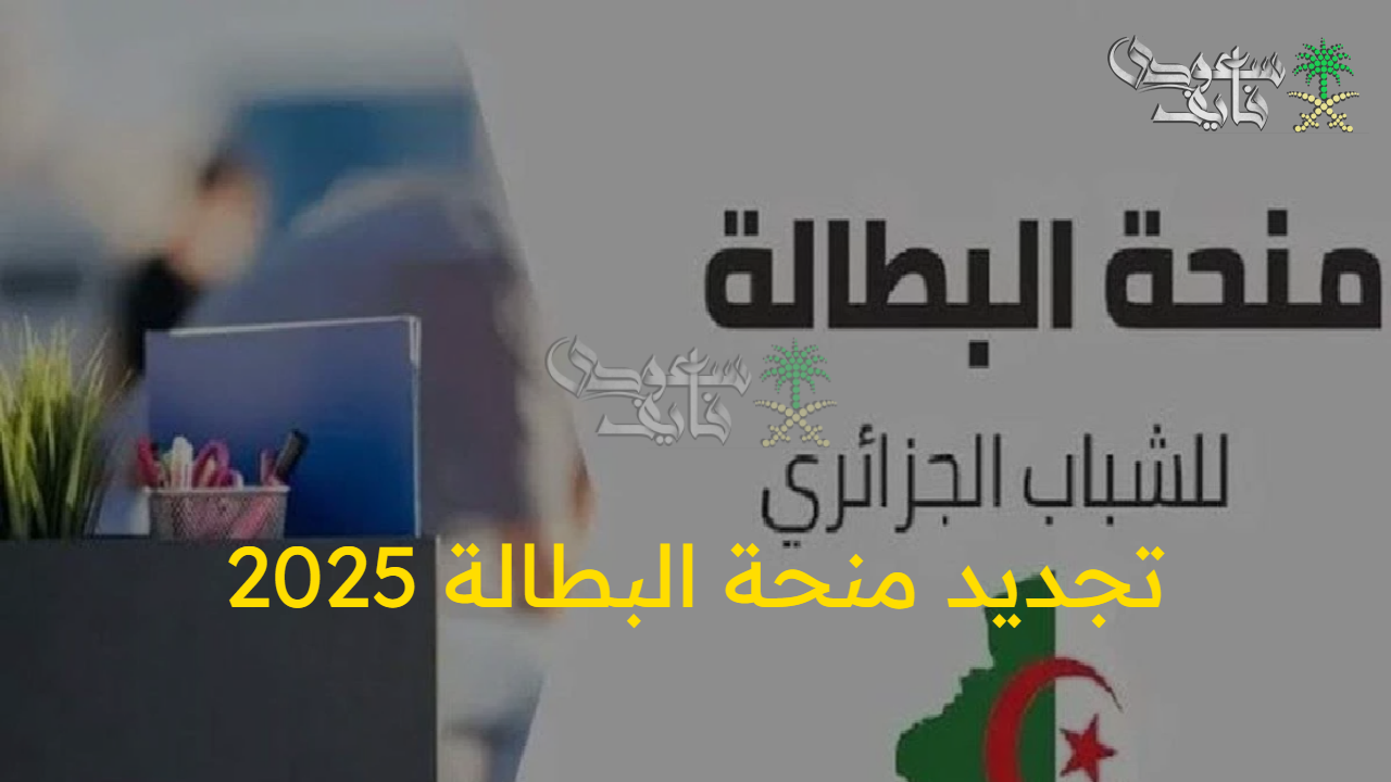 سجل فورًا.. رابط منحة البطالة في الجزائر 2025 عبر موقع الوكالة الوطنية للتشغيل anem.dz