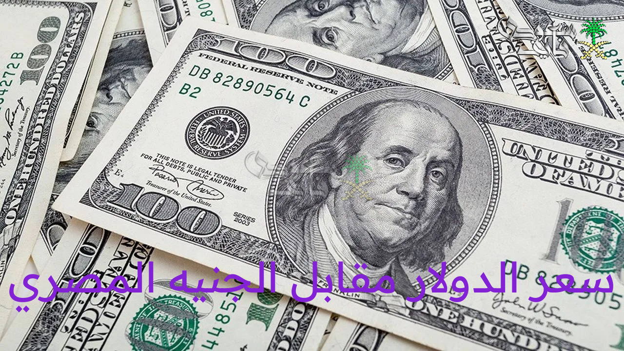سعر الدولار مقابل الجنيه المصري اليوم الثلاثاء 5 أغسطس 2025 في معظم البنوك المصرية