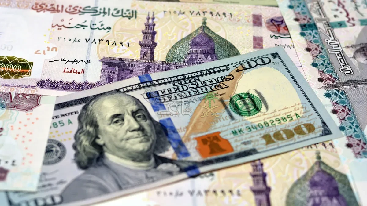 سعر الدولار مقابل الجنيه المصري اليوم الثلاثاء 26 أغسطس 2025 في معظم البنوك المصرية