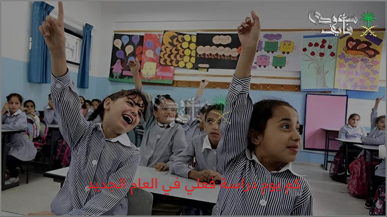 منهج تعليمي مركز .. كم يوم دراسة فعلي في العام الجديد 2025 في مصر وتوزيع الأسابيع بالكامل