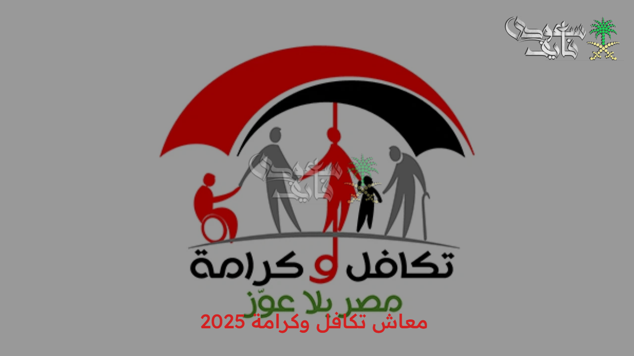 بالرقم القومي.. استعلم عن معاش تكافل وكرامة 2025 واطلع على قيمة دعمك 