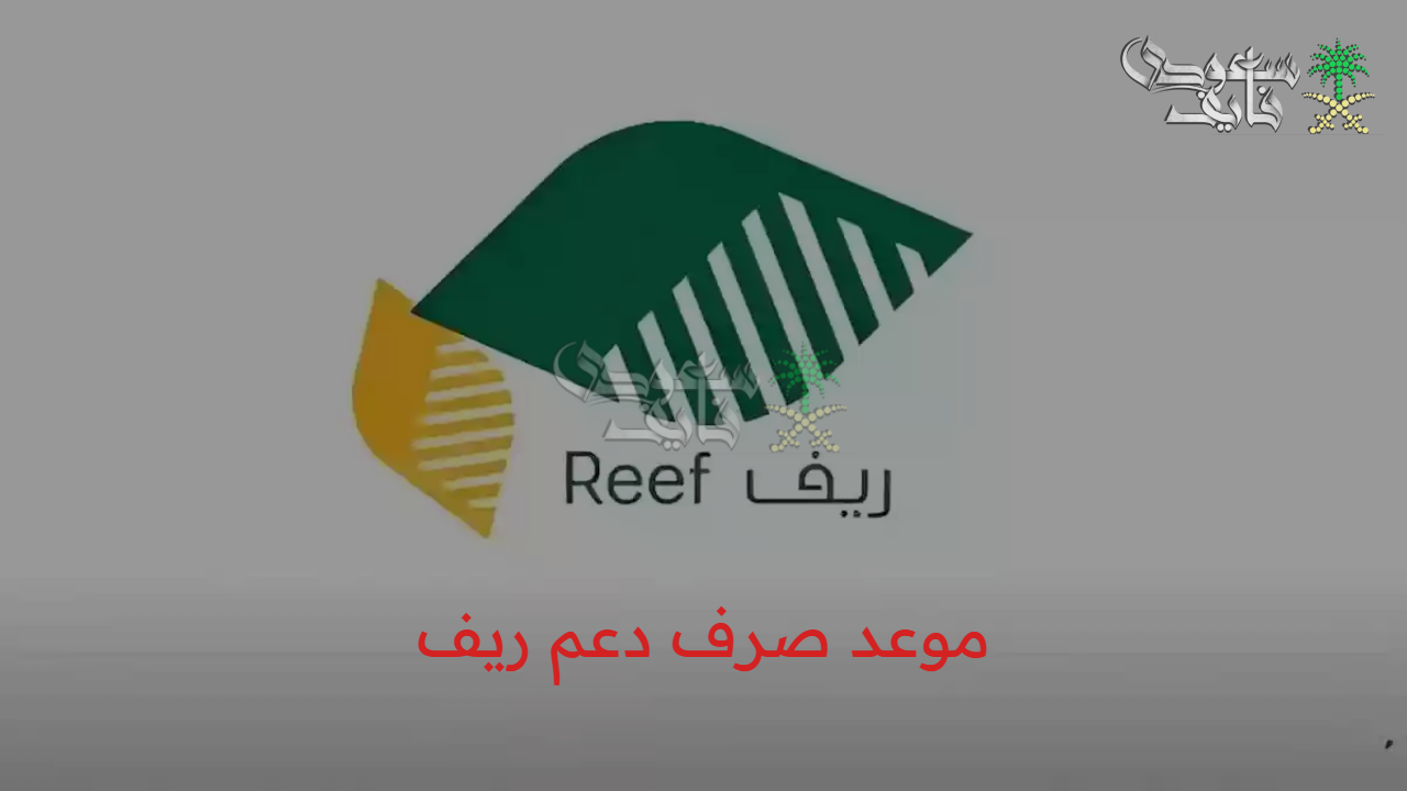موعد صرف دعم ريف السعودية لعام 2025 للمستفيدين الجدد وخطوات التقديم إلكترونياً عبر المنصة