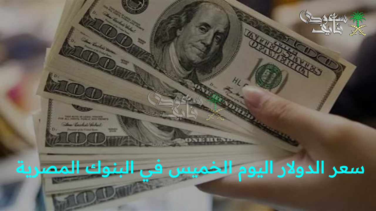 “رسميا الآن.. سعر الدولار اليوم الخميس 11 سبتمبر في البنك المركزي المصري.. تابع تحديث البورصة لحظة بلحظة”