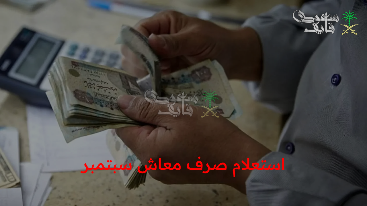 قبضك نزل.. استعلام صرف معاش سبتمبر لعام 2025 بالزيادة الجديدة لأصحاب المعاشات خطوة بخطوة عبر الموقع الرسمي 