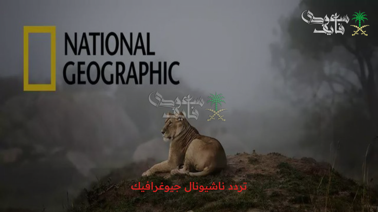 متاحة حالياً.. تردد ناشيونال جيوغرافيك National Geographic 2025 على نايل سات وعرب سات وكيفية استقبالها على جهاز التلفاز
