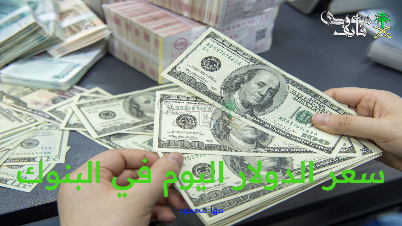 سعر الدولار اليوم في البنوك ومكاتب الصرافات خلال تعاملات صباح الأربعاء 3 سبتمبر 2025