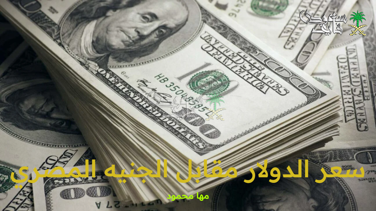 سعر الدولار مقابل الجنيه المصري الآن الخميس 11 سبتمبر 2025 في البنوك ومكاتب الصرافة المصرية