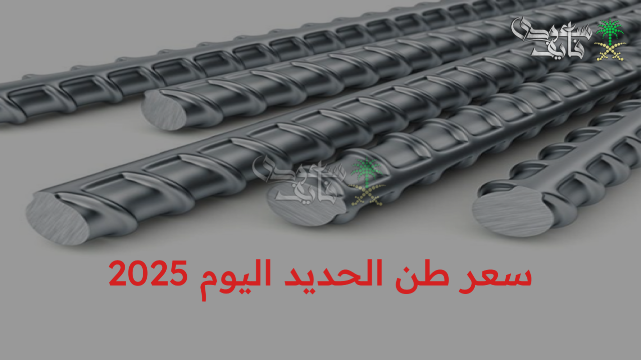 بكام الطن؟… سعر طن الحديد اليوم 2025 بتاريخ الأربعاء 24 سبتمبر بالشركات المنتجة 
