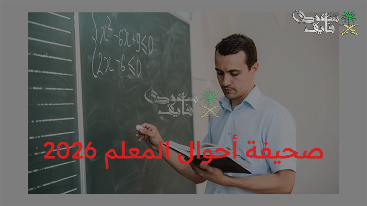 بإجراءات يسيرة.. تعرف على كيفية استخراج صحيفة أحوال المعلم 2026 عبر الرقم القومي