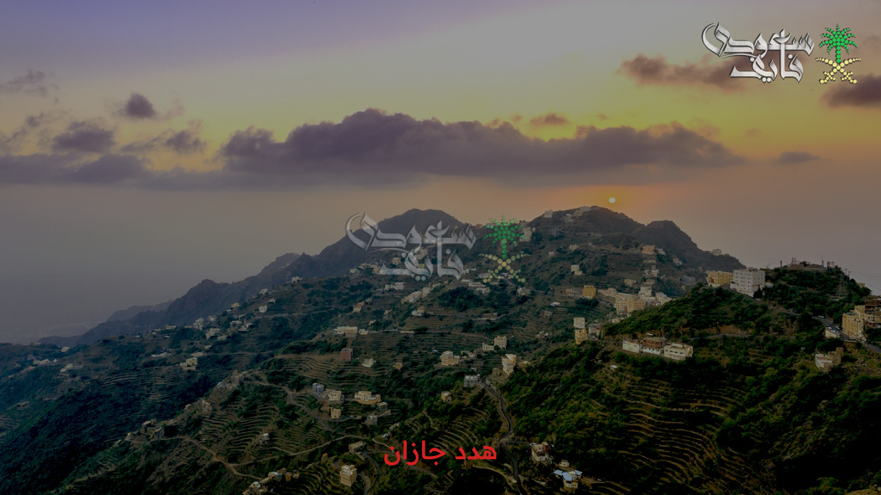 تعويضات هدد منطقة جازان 1447.. ألية التسجيل الرقمي والضوابط المطلوبة والأماكن المشمولة