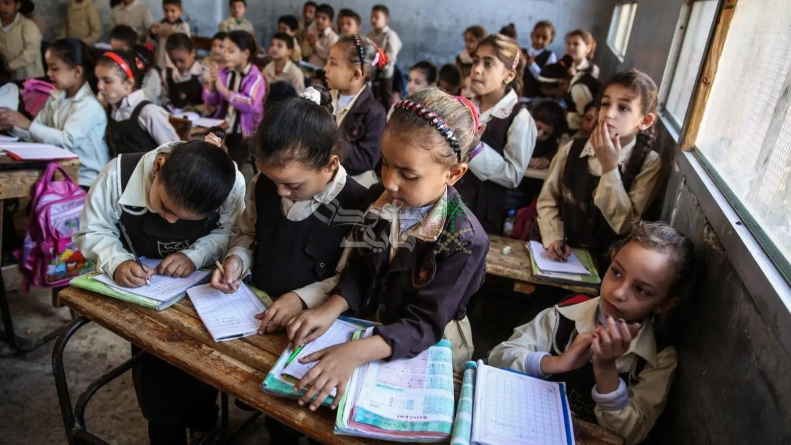 ما هي حقيقة تعطيل الدراسة في مصر الأسبوع المقبل بسبب الأحوال الجوية؟