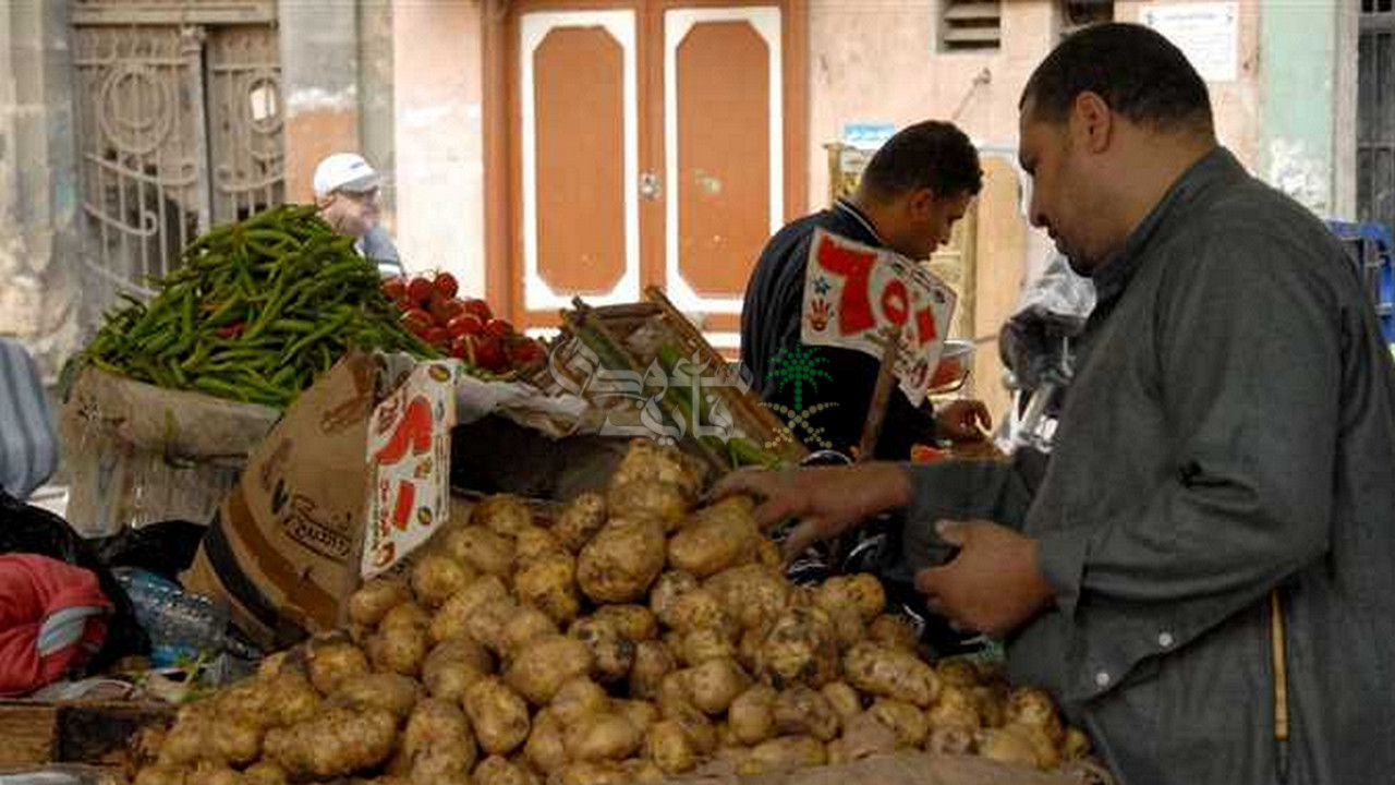 سعر الطماطم والخيار والخضار بالأسواق اليوم الخميس 23 أكتوبر 2025