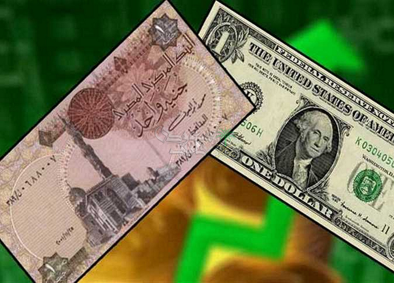 سعر الدولار الآن مقابل الجنيه والعملات الأخرى ببداية الأسبوع السبت 25 أكتوبر 2025
