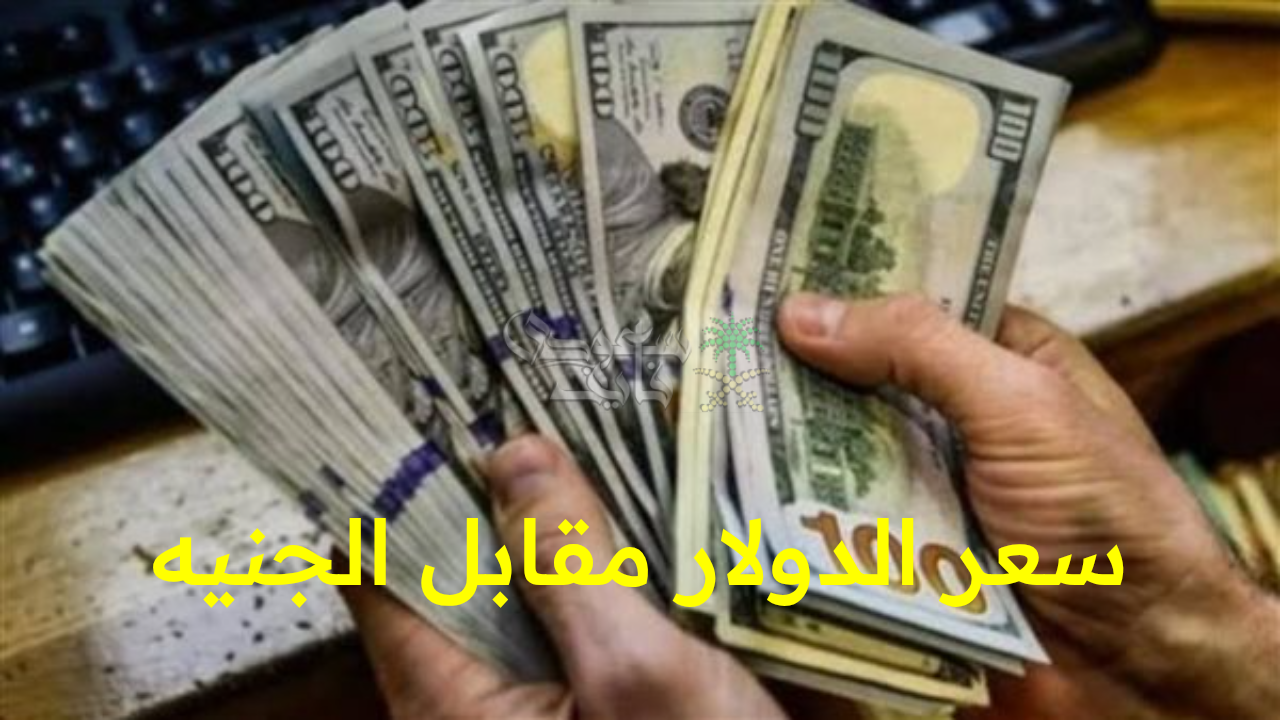 “الجنيه يواصل مفاجآته أمام الأخضر الأمريكي.. سعر الدولار مقابل الجنيه المصري اليوم الثلاثاء 14 أكتوبر”