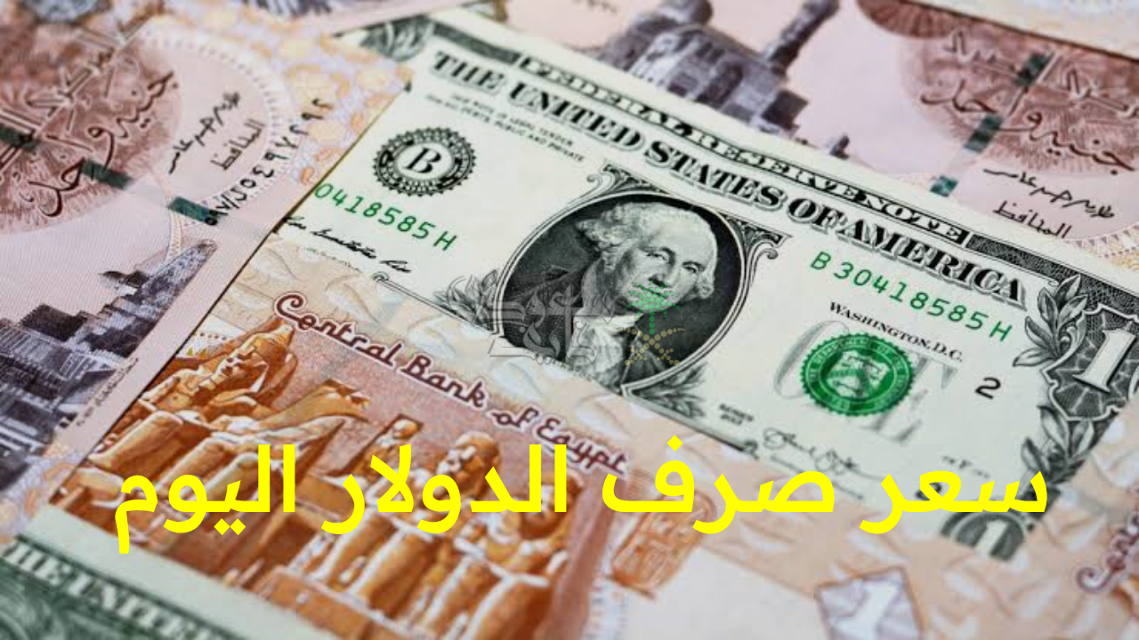 “الأخضر يتراجع.. سعر صرف الدولار اليوم الإثنين 6 أكتوبر مقابل الجنيه في البنوك المصرية”
