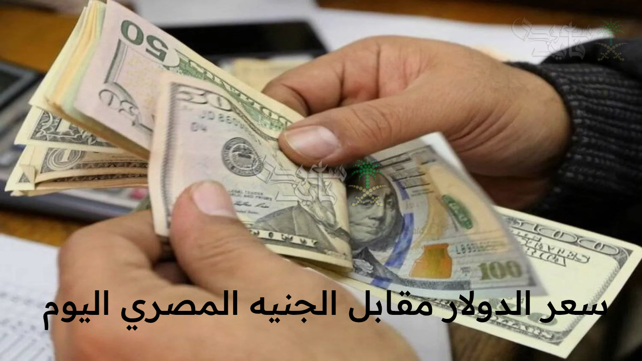 “الأخضر يشعل الأسواق مجددا.. تحركات سعر الدولار مقابل الجنيه المصري اليوم الأربعاء الموافق 29 أكتوبر في البنوك”