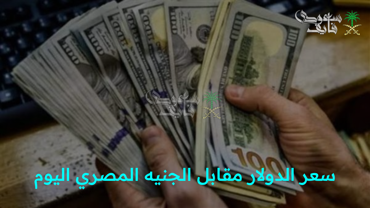“الدولار يواصل مفاجآته أمام الجنيه اليوم.. سعر الدولار مقابل الجنيه المصري اليوم الإثنين في البنك المركزي لحظة بلحظة”