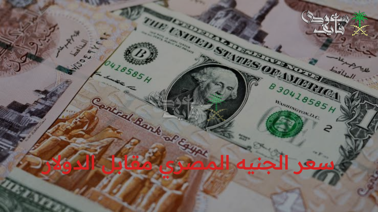 أخر تحديث.. سعر الجنيه المصري مقابل الدولار اليوم الأحد 5/10/2025