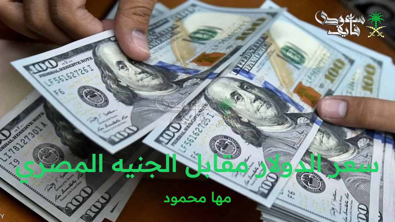 سعر الدولار مقابل الجنيه المصري اليوم الأربعاء 8 أكتوبر 2025 في البنوك ومكاتب الصرافة المصرية