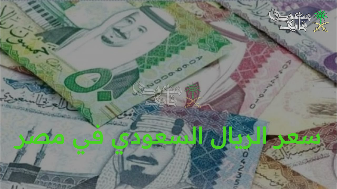 “تراجع طفيف”.. سعر الريال السعودي في مصر اليوم يشهد انخفاضا محدودا أمام الجنيه في البنوك المحلية