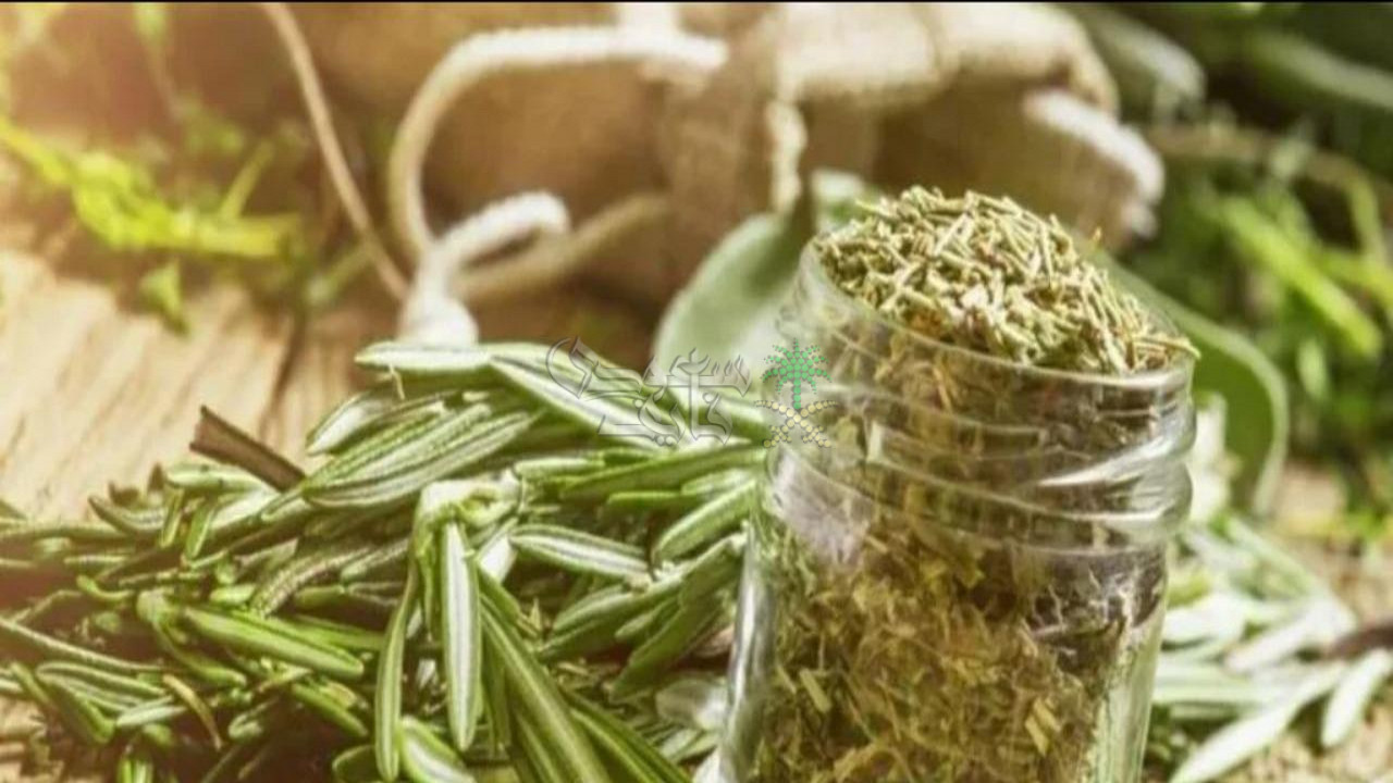 نبات معجزة يؤخر الشيخوخة.. هيرجعك شباب لو عمرك فوق الـ60