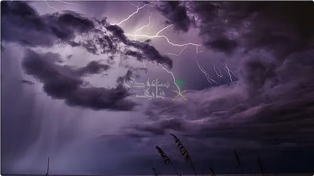 ما هي حقيقة هطول أمطار رعدية 11 نوفمبر 2025؟.. توضيح عاجل يحسم الجدل