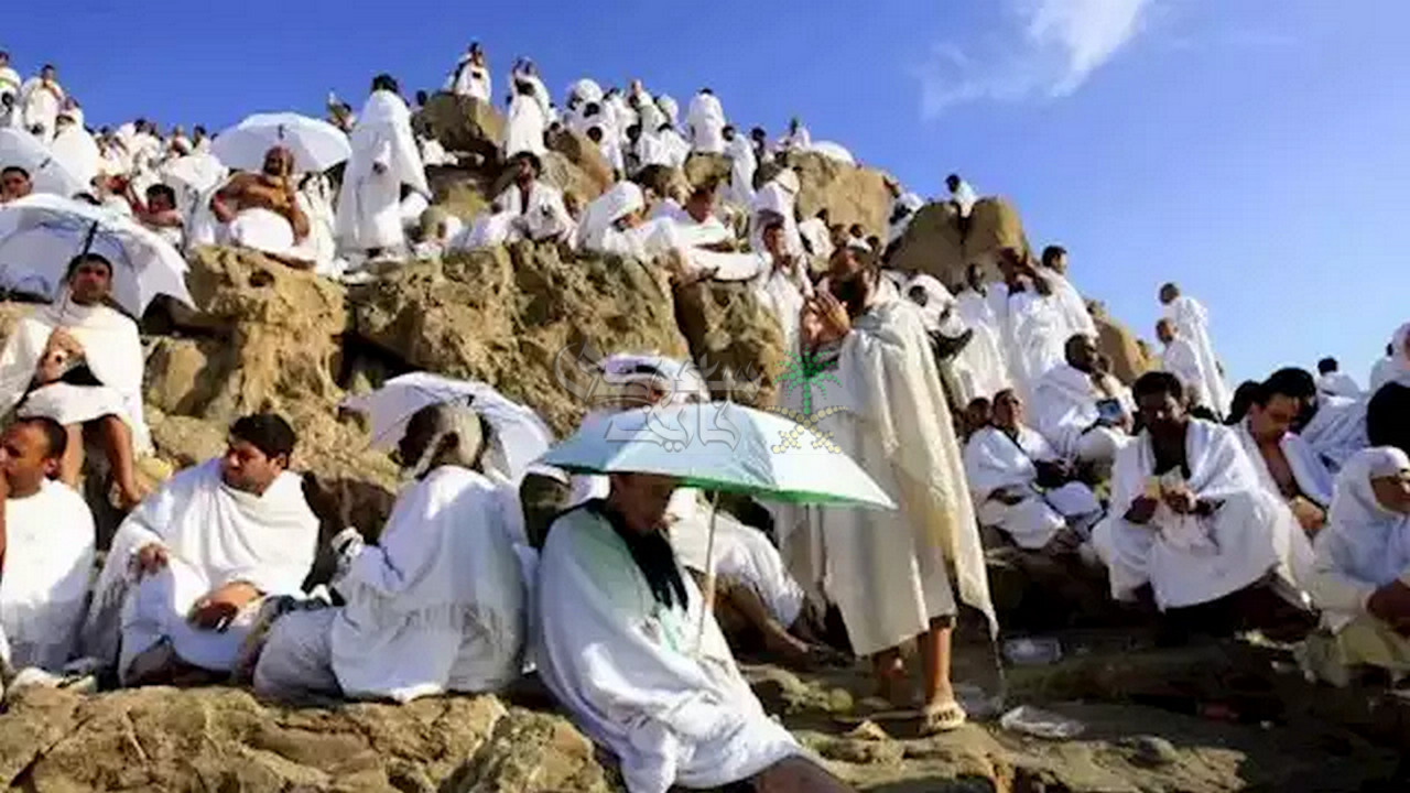 تقديم طلب حج للعاملين بالأزهر الشريف.. تعرف على الشروط والإجراءات المطلوبة