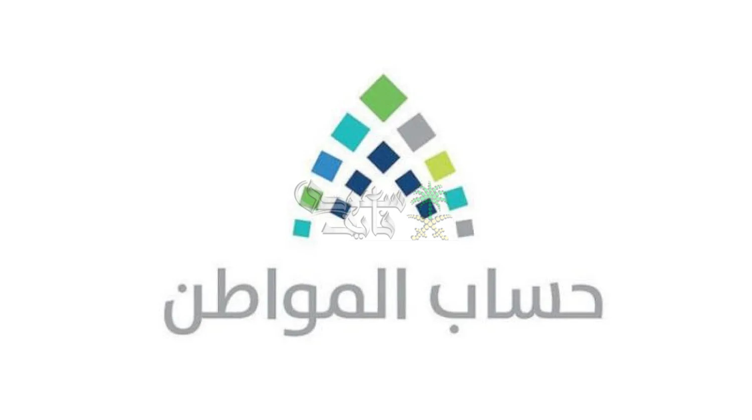 التسجيل في حساب المواطن 2025.. الشروط والخطوات اللازمة