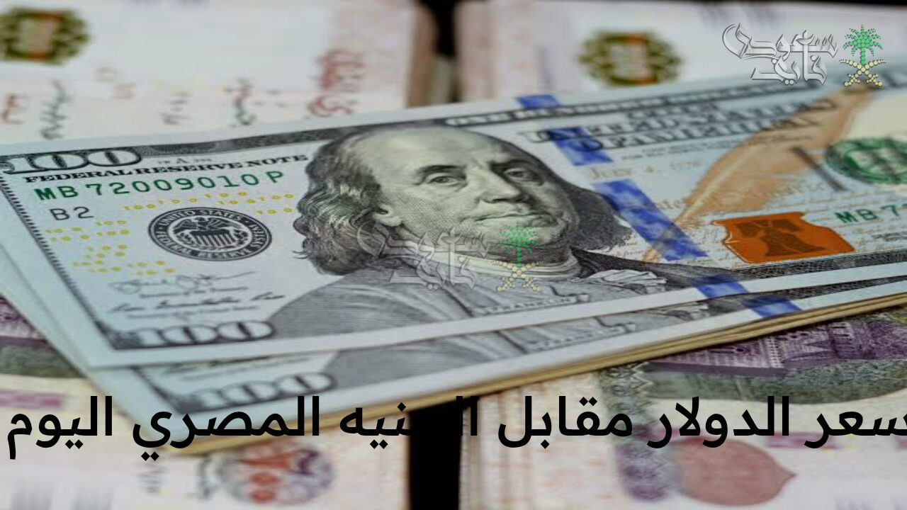 تحديث سعر الدولار مقابل الجنيه المصري اليوم الأربعاء 19 نوفمبر في البنك المركزي المصري
