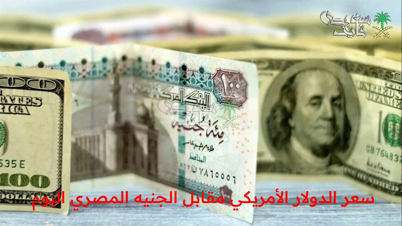 صعود أم هبوط!.. سعر الدولار الأمريكي مقابل الجنيه المصري اليوم الإثنين 24 نوفمبر في البنوك”