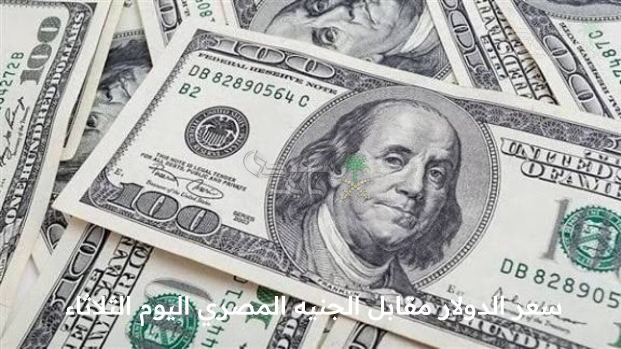 آخر تحديث لسعر الدولار مقابل الجنيه المصري اليوم الثلاثاء 25 نوفمبر في البنك المركزي المصري