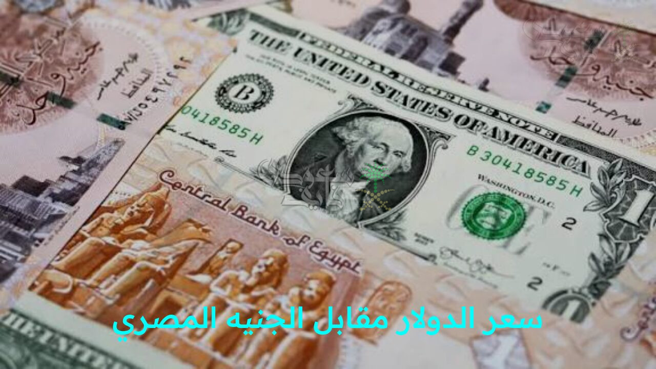 “تحرك هادئ للعملة الخضراء!.. تحديث سعر الدولار مقابل الجنيه المصري اليوم الجمعة 28 نوفمبر في البنك المركزي”