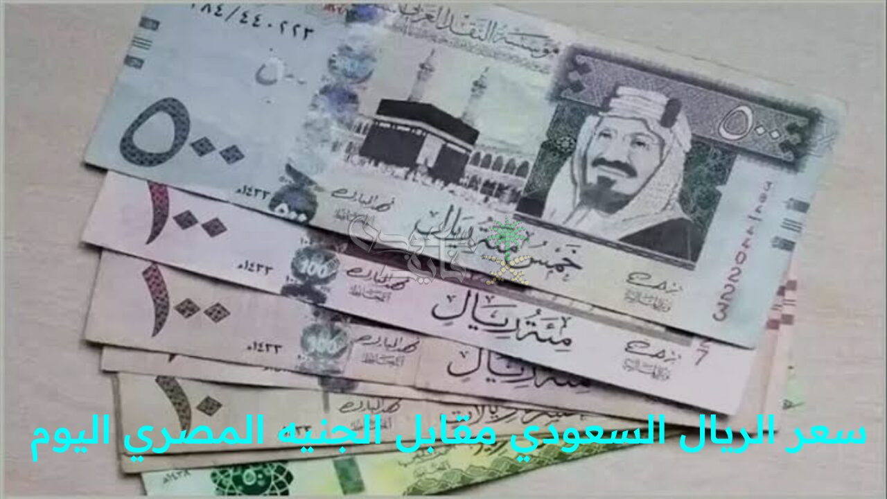 “تحديث لحظي.. تابع سعر الريال السعودي مقابل الجنيه المصري اليوم الجمعة 28 نوفمبر في البنك المركزي المصري”